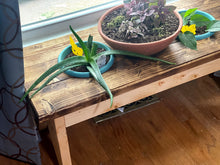 Load image into Gallery viewer, The HoneyGraham Planter Table
